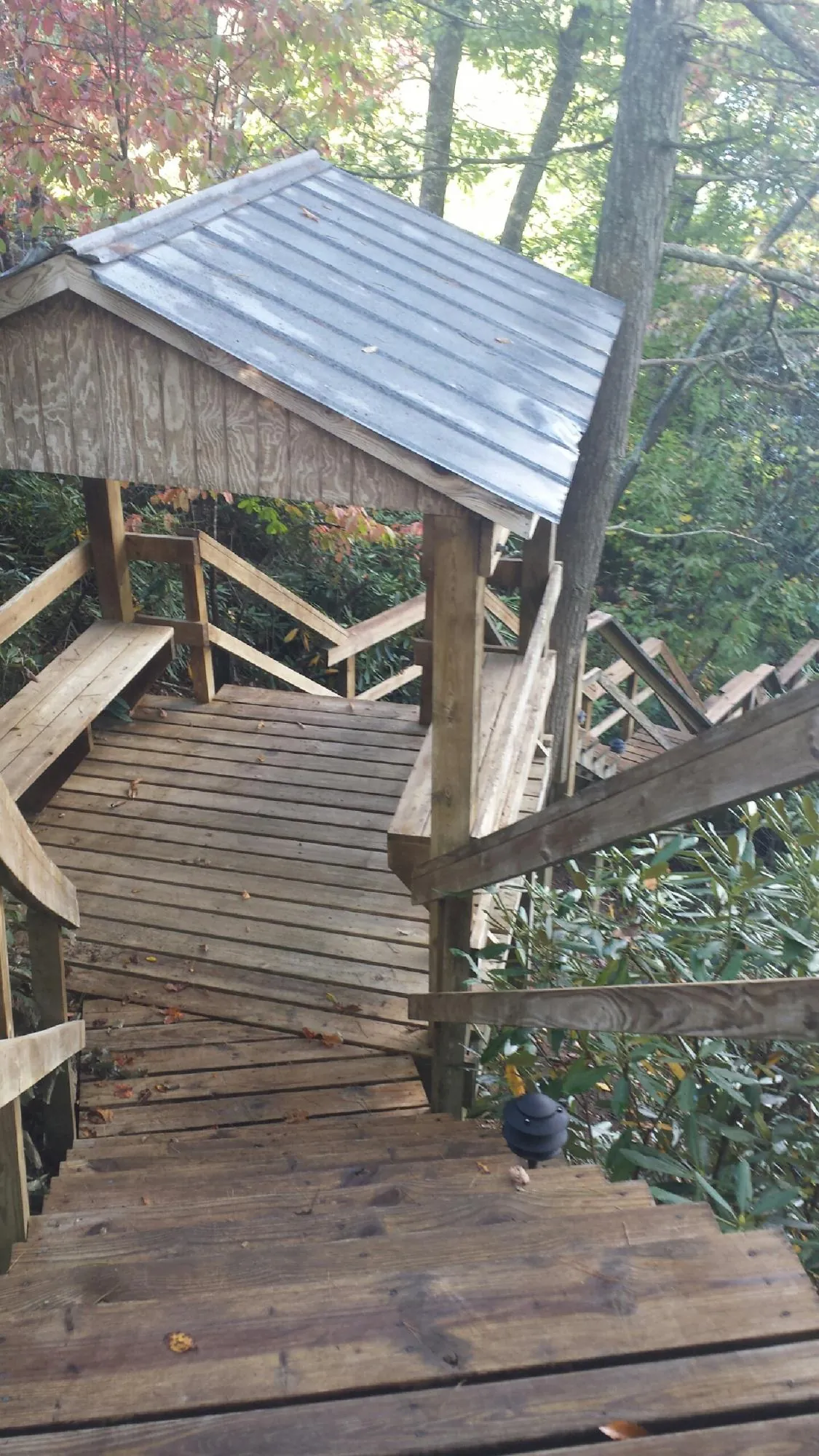 Metal roofed shelter over wooden steps on a wooded walkway — Skylight Repair & Installation work by our crew in Estero